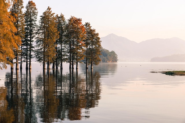 calm nature landscape sunrise
